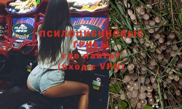 меф Богородицк