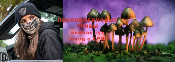 меф Богородицк